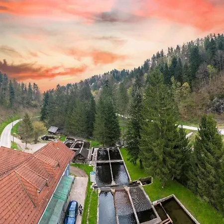 Stara Ribogojnica & Pohorska Postrv Apartment