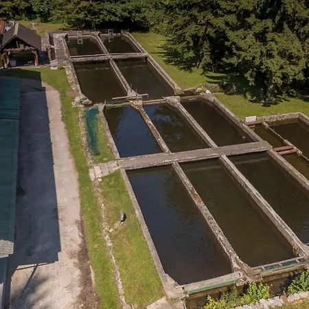 Stara Ribogojnica & Pohorska Postrv * 卢瑟