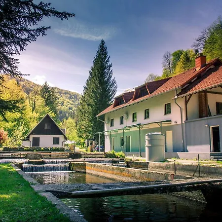 Stara Ribogojnica & Pohorska Postrv Appartement Ruse