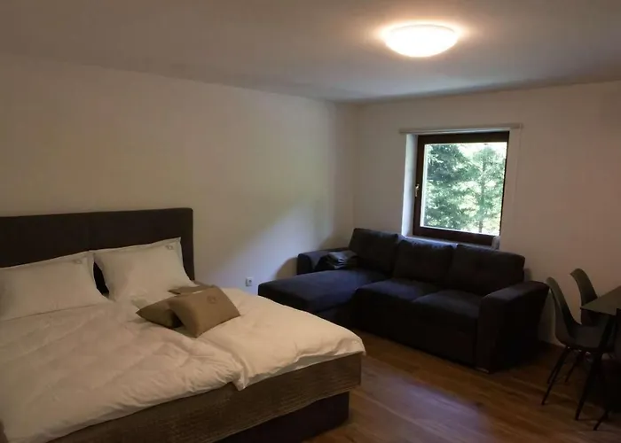 Stara Ribogojnica & Pohorska Postrv Apartment *