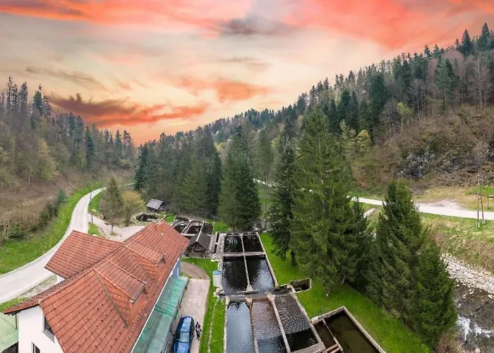 Stara Ribogojnica & Pohorska Postrv 公寓