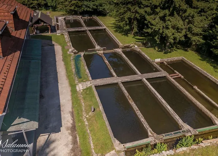 Stara Ribogojnica & Pohorska Postrv * Ruse