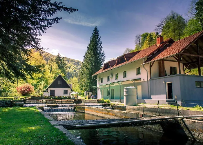 Stara Ribogojnica & Pohorska Postrv Apartment Ruse